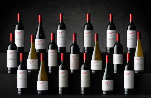 富邑計劃將部分奔富從中國市場撤出 酒界新聞