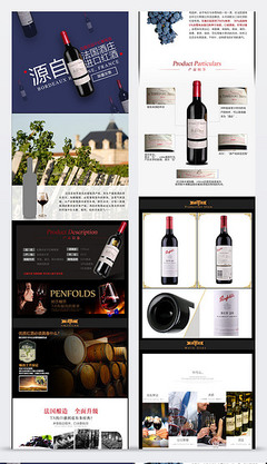 紅酒的世界 從葡萄到酒杯的藝術